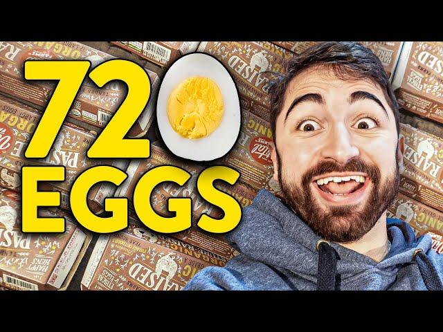 I Ate 720 Eggs in 1 Month. Here's What Happened to my Cholesterol