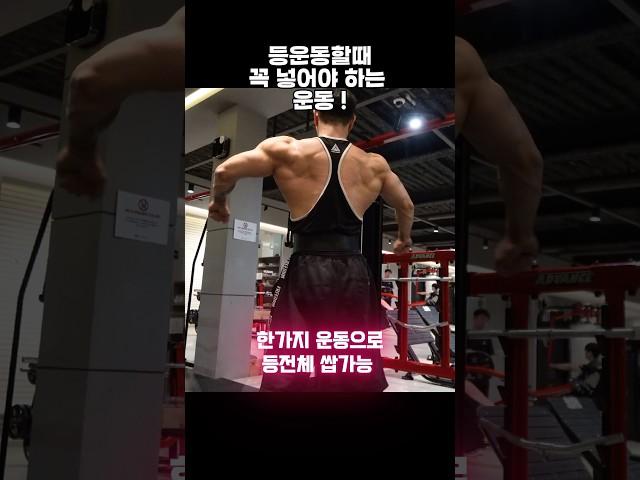 등 이거하나면 등.신 가능 #등운동 #등운동루틴 #운동꿀팁 #운동하는남자 #운동루틴 #운동하는여자 #동기부여 #헬스 #헬스루틴 #헬스장 #다이어트 #턱걸이 #푸쉬업 #몸만들기