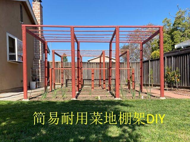 湾区后院菜地棚架DIY