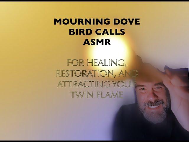 Mourning Dove Calls & Wand Taps ASMR — (TikTok LIVE Treatment)