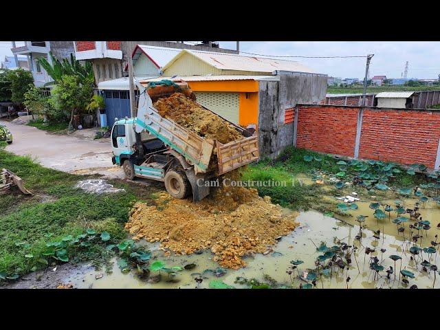 Amazing Project Delete Pound Flooded Soil !! Bulldozer Push StoneSoil ,Truck 5Ton Unloading Soil