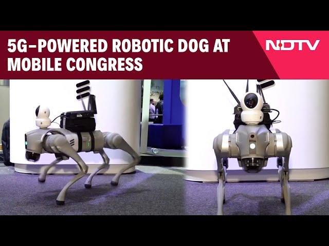 India Mobile Congress 2024 | 5G-Powered Robotic Dog Attracts Visitors At Mobile Congress