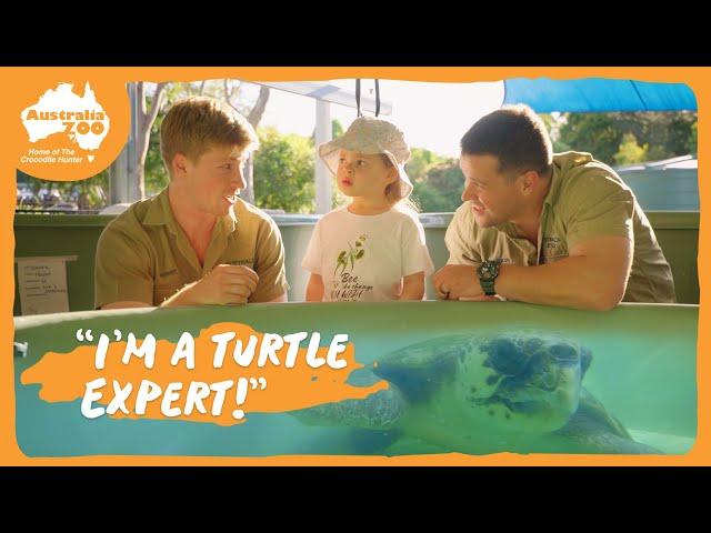 Grace tests her turtle feeding skills | Australia Zoo Life