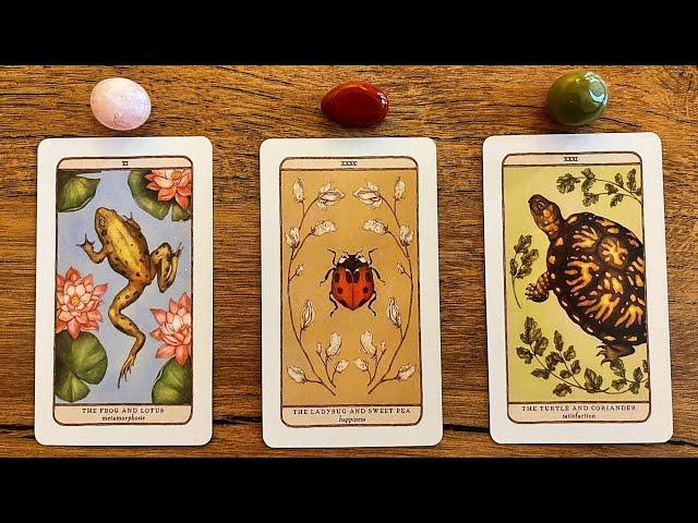 SOMETHING GOOD WILL HAPPEN SOON! ⭐️ | Pick a Card Tarot Reading