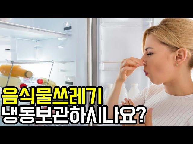 음식물 쓰레기 냉동 보관을 하면 안 되는 이유와 해결 방법은?