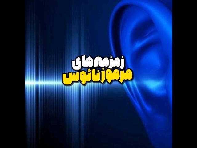 زمزمه های اسرارآمیز نیومکزیکو