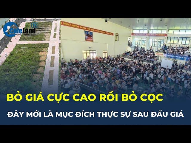 Bỏ giá đấu giá đất cao chót vót rồi bỏ cọc, đây thực sự mới là MỤC ĐÍCH CHÍNH của NĐT | CafeLand