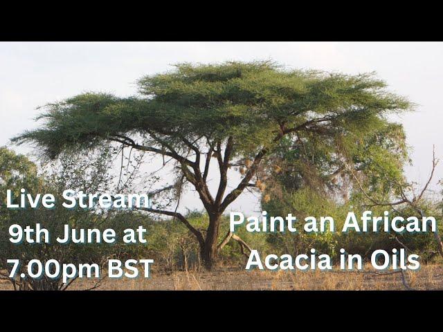 Paul Apps Wildlife Art Stream | Painting an African Acacia in Oils Sunday 9th June 2024, 7:00 PM BST