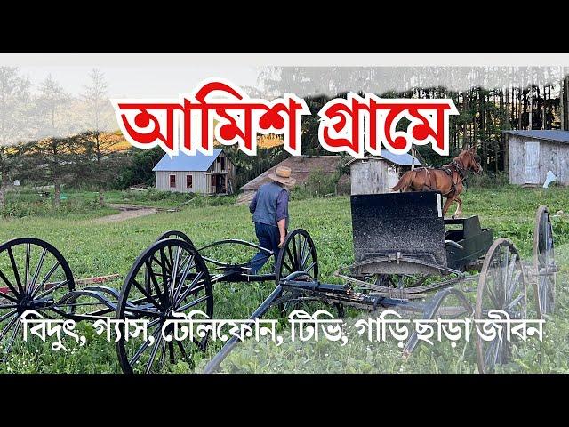 যুক্তরাষ্ট্রে অভিনব আমিশ জনগোষ্ঠী | গাড়ি, বিদ্যুৎ, মোবাইল ছাড়া জীবন | প্রবাসী টিভি