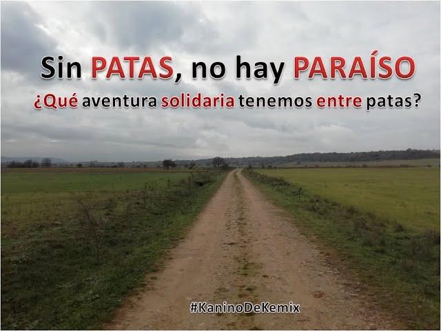 Sin PATAS no hay PARAÍSO ‍️ | Entrenamiento #KaninoDeKemix