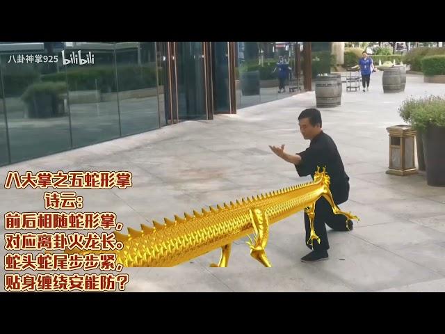 Gong Baotian Bagua Zhang 宫寶田八卦掌 - 8 Palm Changes by Master Sun Jia Min