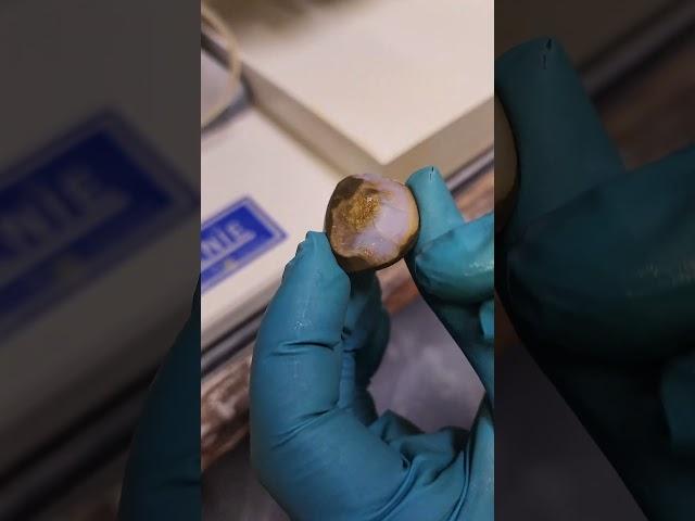 HIDDEN Oregon Opal DISCOVERY