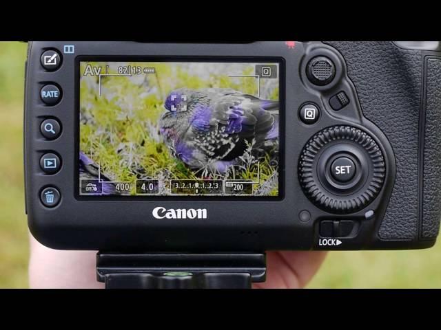 Автофокус по сенсору изображения. Canon EOS 5D Mark IV