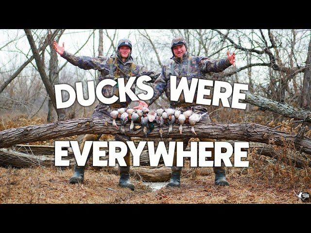 Texas Public Land Duck Hunting | LIMITED OUT!