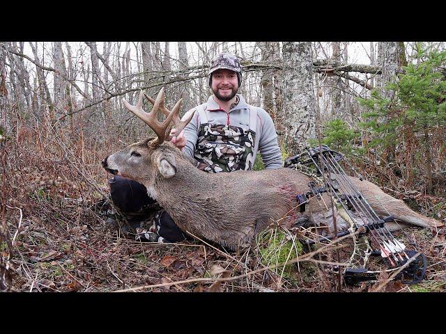 Buck Down on Public Land Rut Hunt