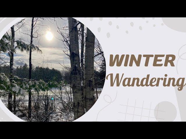 Winter walking: FITNESS update ️ #journey #winterwalk #winterwonderland