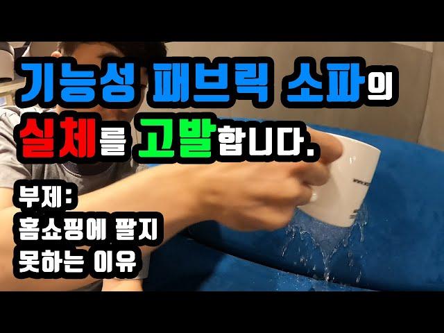 기능성 패브릭소파의 실체를 고발합니다. (ft. 떡밥투척)