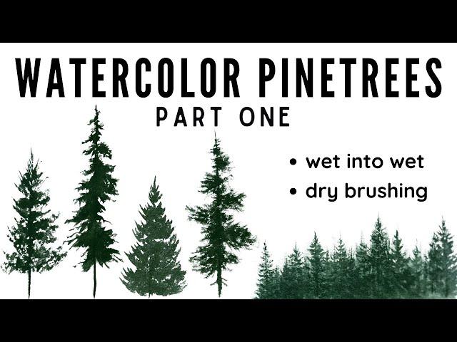 WATERCOLOR PINE TREES USING THE WET INTO WET AND DRY BRUSHING TECHNIQUES/ easy for beginners