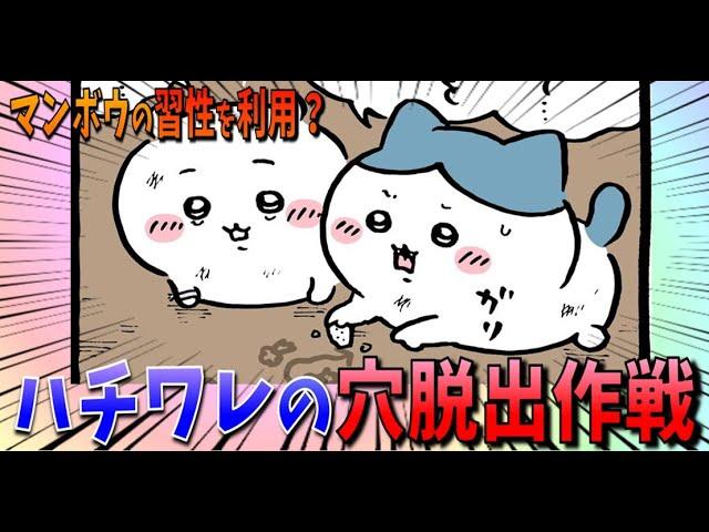 【ちいかわ】マンボウの動きからハチワレが穴脱出作戦を閃く！【最新話】