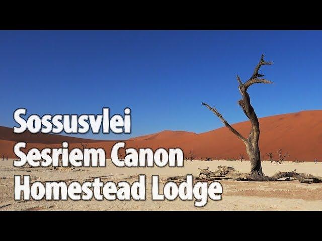 Namibia Part11: From Swakopmund to Sossusvlei/Deadvlei/Sesriem Canyon/Homestead Lodge