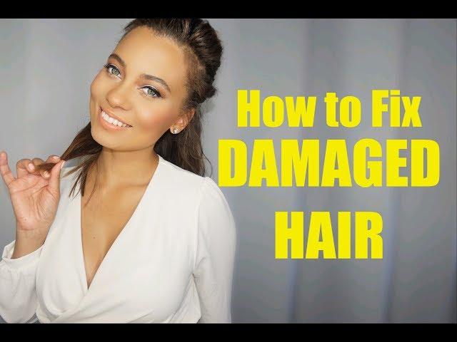 HOW TO REPAIR DAMAGED HAIR | OLAPLEX? | PRO TIPS! | Brittney Gray