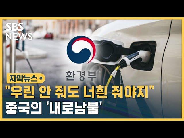 환경부, '전기차 보조금 개편' 연기…중국업체 반발 때문? (자막뉴스) / SBS