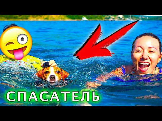 Собака Джина СПАСАТЕЛЬ ПЛАВАЕТ В ЖИЛЕТЕ ПЕРВЫЙ РАЗ Яхта Элли Ди | Elli Di Pets