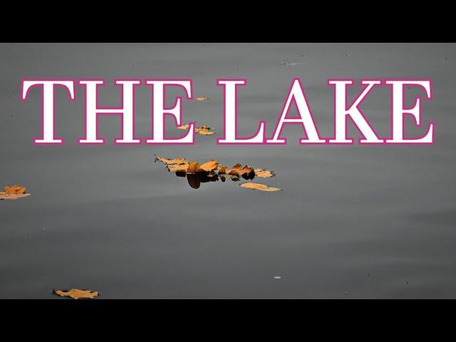 Fly Fishing for Trout & Pike on THE LAKE | The Lake of Menteith | Rainbow Trout | Esox Lucius