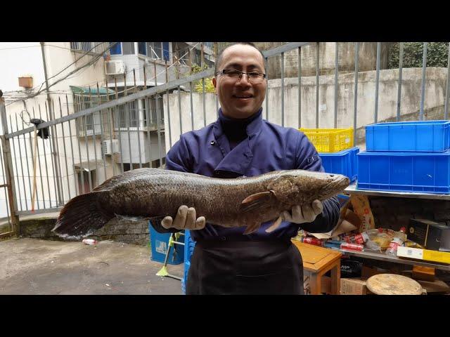 【廚小刀美食】飯店後廚上演人魚大戰，10斤重的大黑魚在大廚手裡也只能乖乖就擒