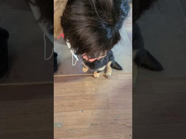 김깜순 어린시절 2 #shorts