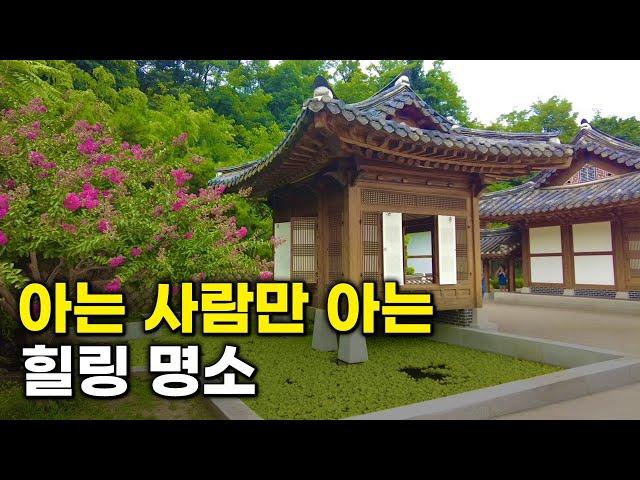 Seoul's Amazing Hidden destinations in the Forest | solo travel | korea travel