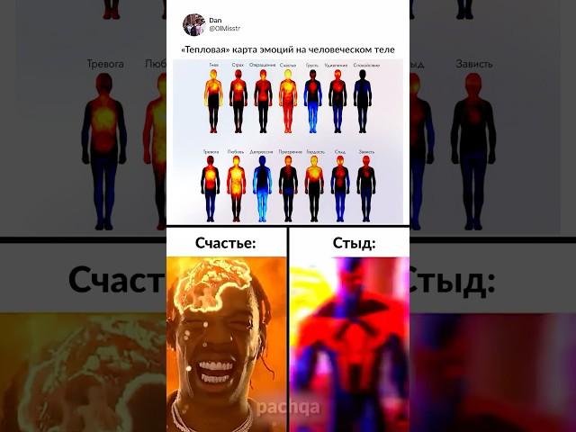Разные виды эмоций 