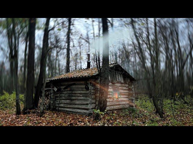 I found an OLD HUT, got tired and spent the night. THE POACHERS' DAM. WINTER QUARTERS IN THE FOREST