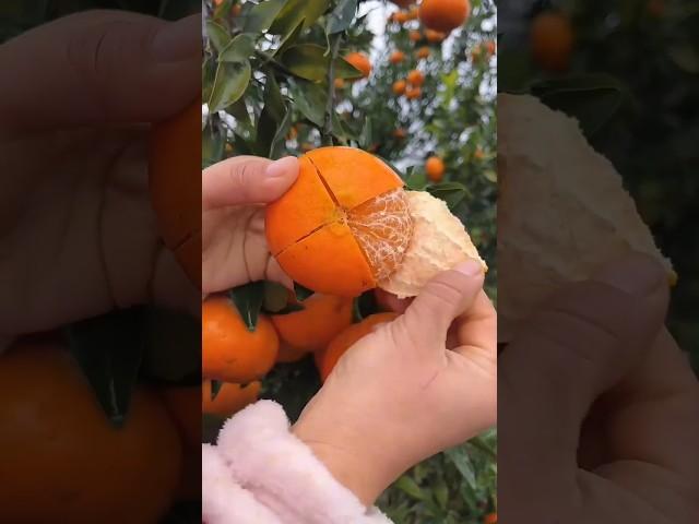 How to new fruit #fruit #fruitcutting #fruitsalad #fruitlover #2025 #priyasharma