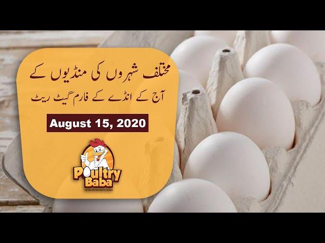 Egg rate today | daily egg | rates in Punjab |  poultry rates | egg business in Pakistan  |  Poultry