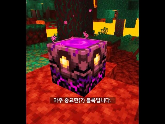 우리를 암살하려는 블록들