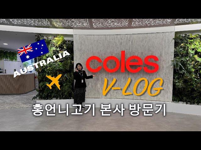 홍언니고기 본사 방문기 | 호주 출장 VLOG Ep.1
