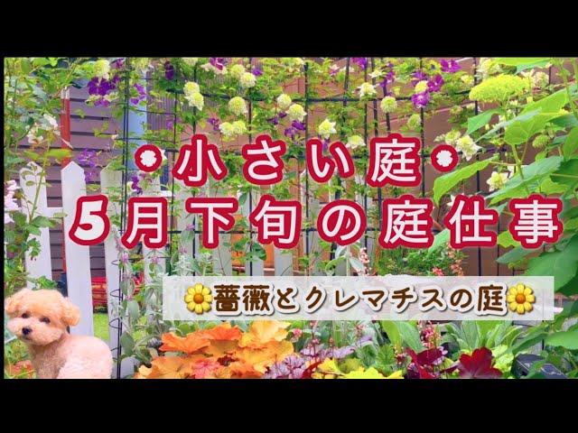 【猛暑を乗り切る夏花を植える】pw苗×超カルスncr/ポタジェガーデン作り/種取り、挿し木、球根の掘り上げ/ドクダミチンキ作り/5月中旬に咲く花たち