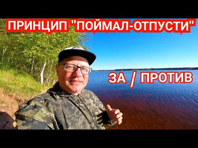 Забирать ли Рыбу на Рыбалке? "Поймал-Отпусти" Принцип Рыболова Будущего? Или нет?