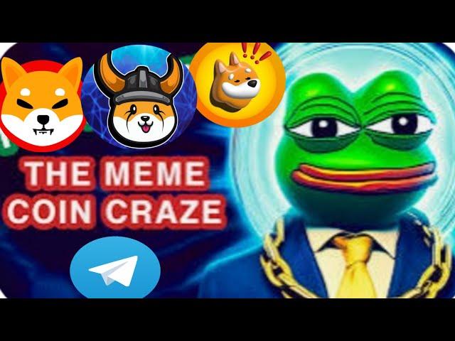 BULL RUN  Meme Coin  Craze , Top 500 on CMC || Crazy Crypto Mintoo