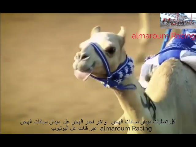 almaroum Racing | المرموم ريسنج