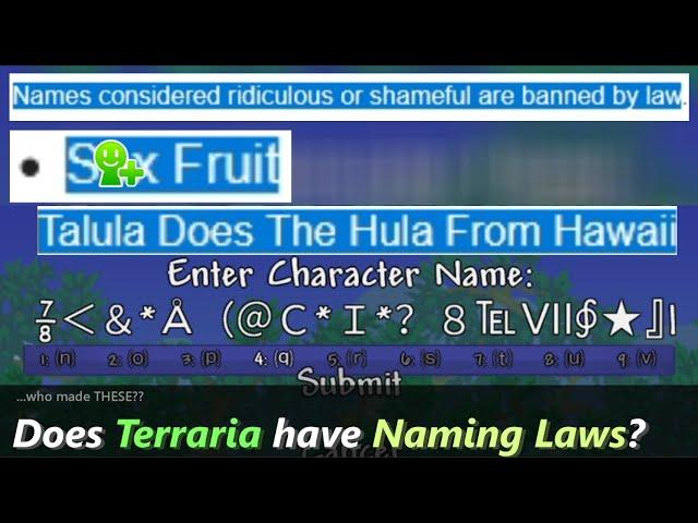 Does Terraria have naming laws to prevent WHAT name???