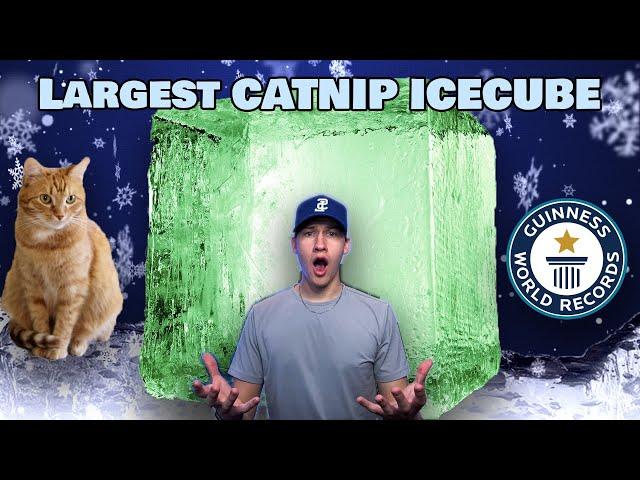 I Made the World's Largest Catnip Ice Cube (40 POUNDS)