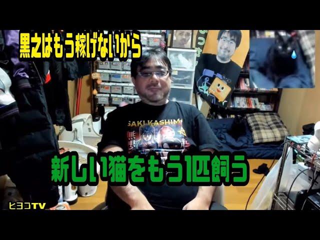 よっさん　新しい猫をもう1匹飼う　2024年11月26日放送