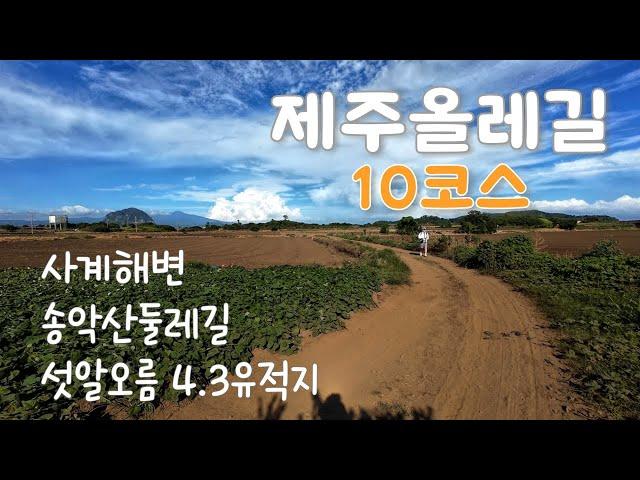 제주 올레길 10코스 | 지금까지 걸은 올레길중 단연코 원탑~~!!