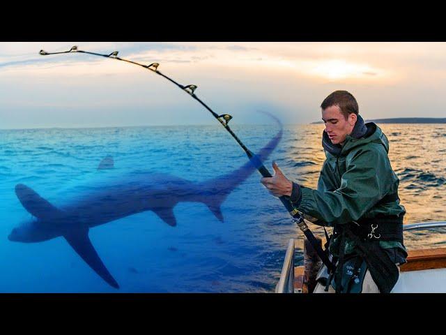 Giant Fish Takes Big Bait Intended For Sharks