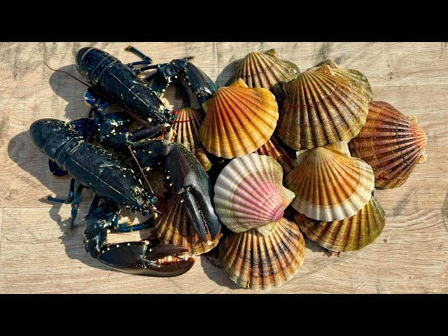 My first Free Dive of 2024 in Cornwall - Lobsters, Crabs, Scallops and fishing | The Fish Locker