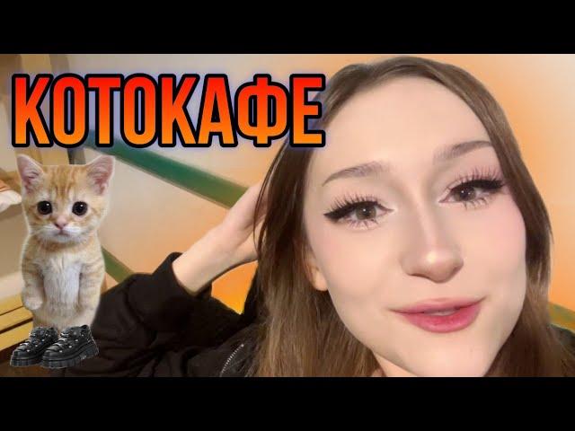 ДАША ПРИШЛА в КОТОКАФЕ | IRL dasha228play