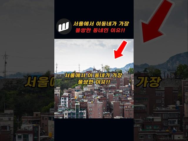 서울에서 이동네가 가장 불쌍한 이유!!