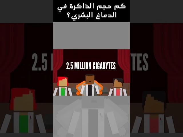 كم حجم الذاكرة في الدماغ البشري؟ شيء مذهل 